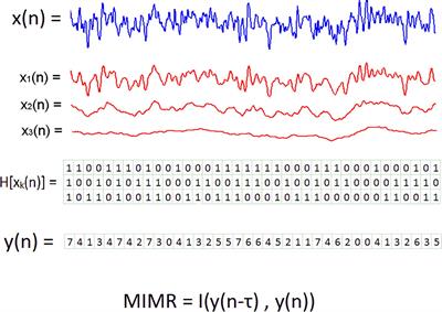 Mutual Information of Multiple Rhythms for EEG Signals